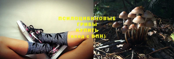 кокс Абдулино