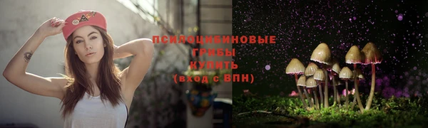 кокс Абдулино