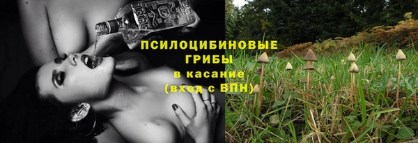 mix Абаза