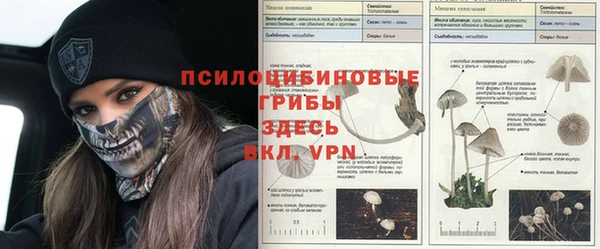 кокс Абдулино
