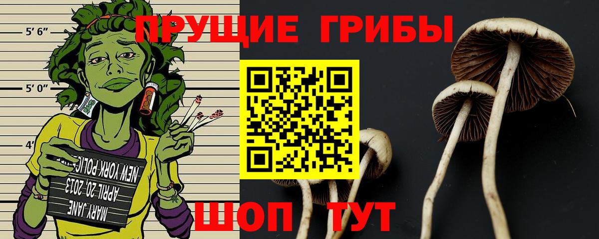 Псилоцибиновые грибы мицелий Костомукша
