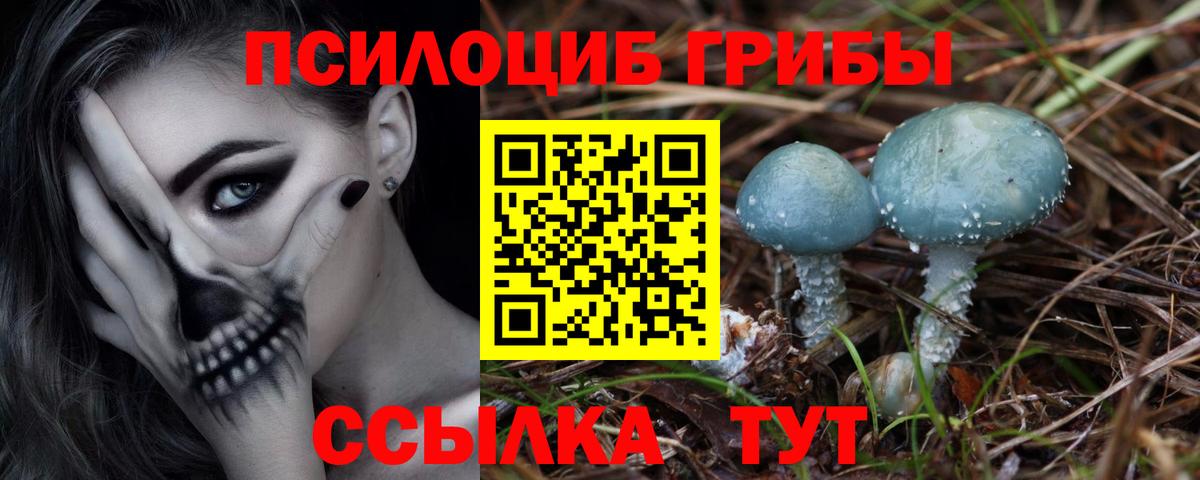 Костомукша  Псилоцибиновые грибы ЛСД  Вход с VPN 